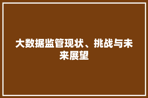 大数据监管现状、挑战与未来展望