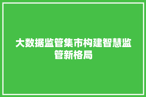 大数据监管集市构建智慧监管新格局