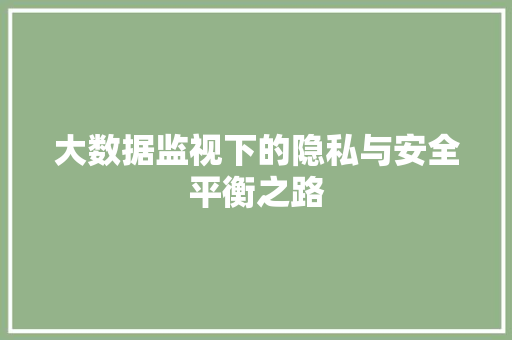 大数据监视下的隐私与安全平衡之路