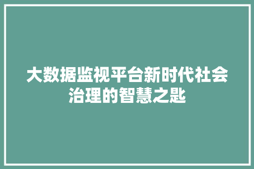大数据监视平台新时代社会治理的智慧之匙