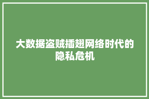 大数据盗贼插翅网络时代的隐私危机