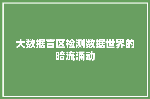 大数据盲区检测数据世界的暗流涌动 建站教程