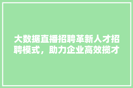 大数据直播招聘革新人才招聘模式，助力企业高效揽才 SEO教程