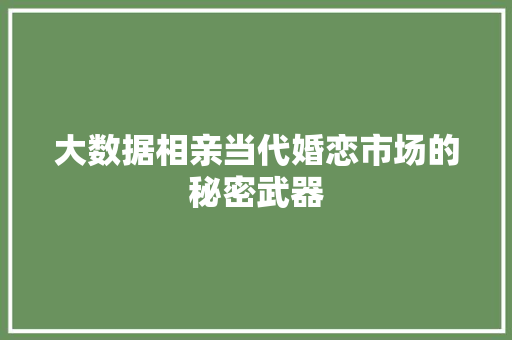 大数据相亲当代婚恋市场的秘密武器