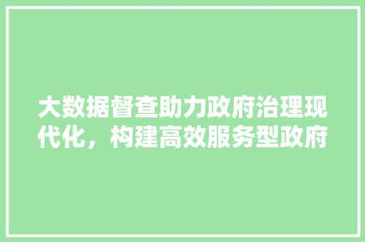 大数据督查助力政府治理现代化，构建高效服务型政府