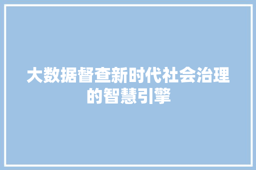 大数据督查新时代社会治理的智慧引擎