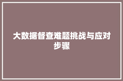 大数据督查难题挑战与应对步骤