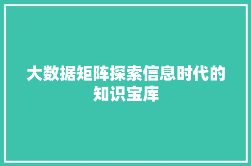 大数据矩阵探索信息时代的知识宝库