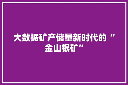 大数据矿产储量新时代的“金山银矿”