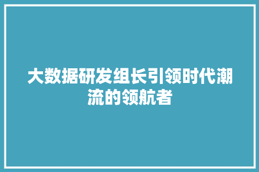 大数据研发组长引领时代潮流的领航者