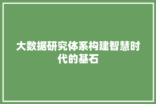 大数据研究体系构建智慧时代的基石