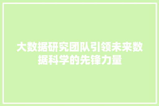 大数据研究团队引领未来数据科学的先锋力量
