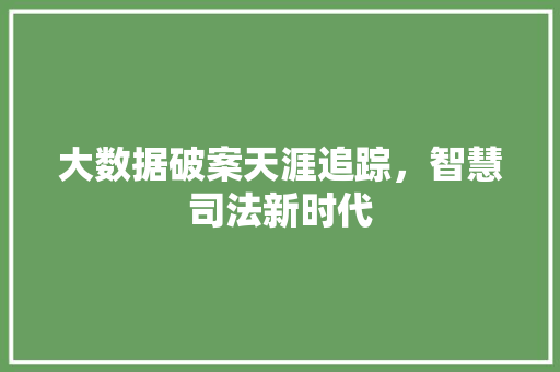 大数据破案天涯追踪，智慧司法新时代