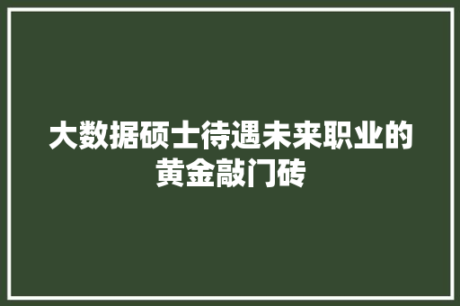 大数据硕士待遇未来职业的黄金敲门砖