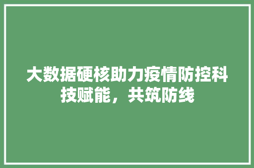 大数据硬核助力疫情防控科技赋能，共筑防线