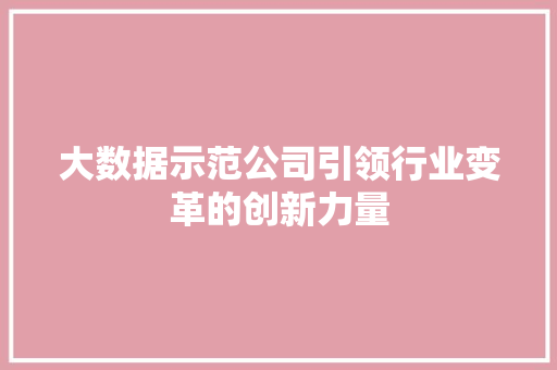 大数据示范公司引领行业变革的创新力量