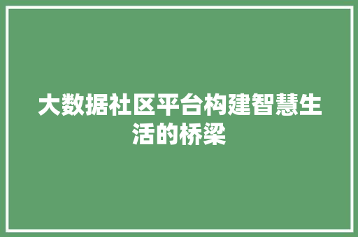 大数据社区平台构建智慧生活的桥梁