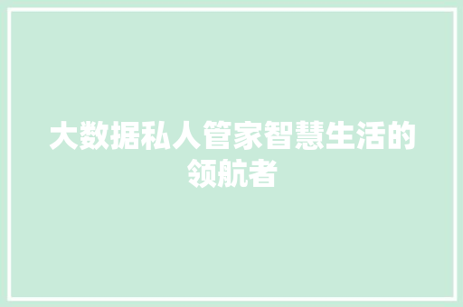大数据私人管家智慧生活的领航者
