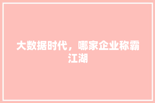 大数据时代，哪家企业称霸江湖
