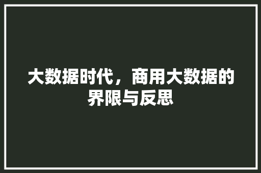 大数据时代，商用大数据的界限与反思