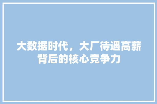 大数据时代，大厂待遇高薪背后的核心竞争力