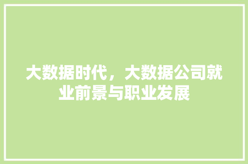 大数据时代，大数据公司就业前景与职业发展