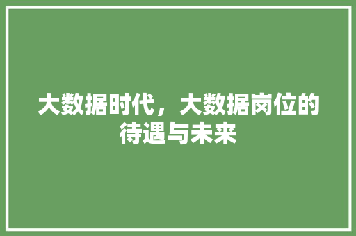 大数据时代，大数据岗位的待遇与未来