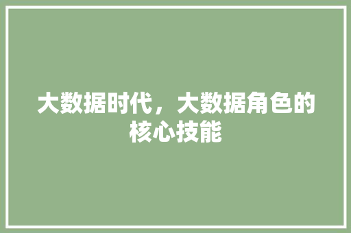 大数据时代，大数据角色的核心技能 WordPress教程