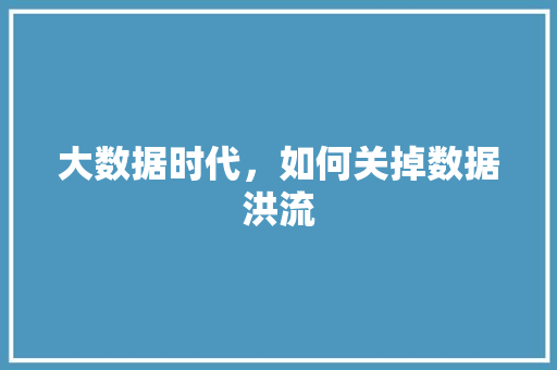 大数据时代，如何关掉数据洪流