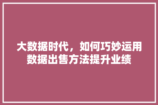 大数据时代，如何巧妙运用数据出售方法提升业绩