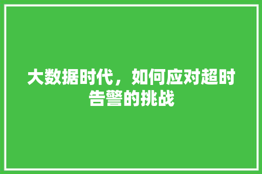 大数据时代，如何应对超时告警的挑战
