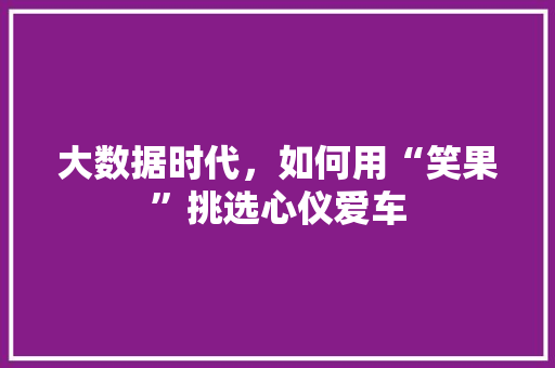 大数据时代,如何用“笑果”挑选心仪爱车 WordPress教程 大数据时代,如何用“笑果”挑选心仪爱车 WordPress教程