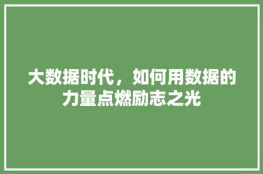 大数据时代，如何用数据的力量点燃励志之光 建站教程