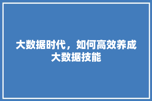 大数据时代，如何高效养成大数据技能