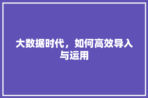 大数据时代，如何高效导入与运用