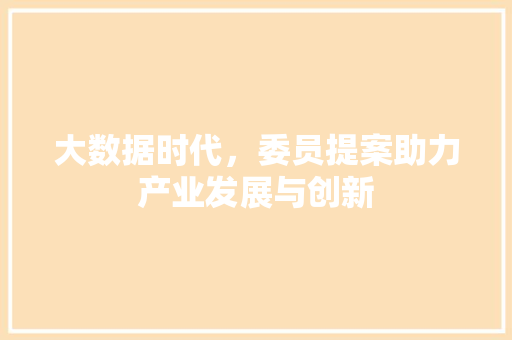 大数据时代，委员提案助力产业发展与创新