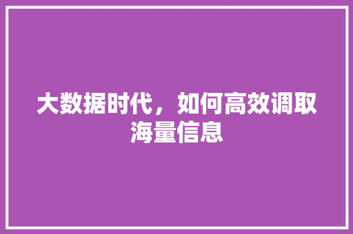 大数据时代，如何高效调取海量信息