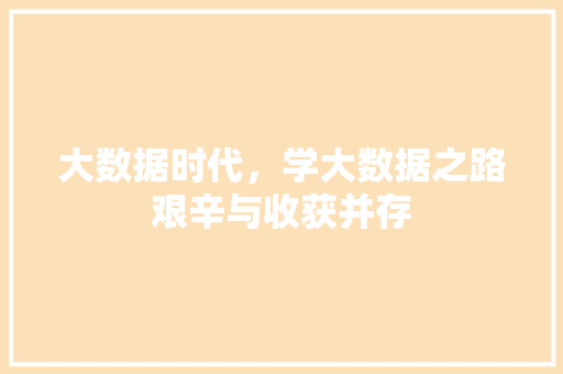 大数据时代，学大数据之路艰辛与收获并存