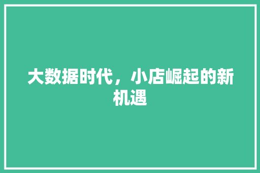 大数据时代，小店崛起的新机遇