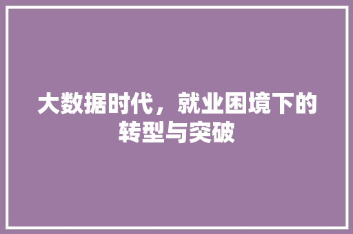 大数据时代，就业困境下的转型与突破