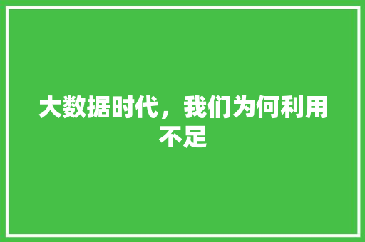 大数据时代，我们为何利用不足