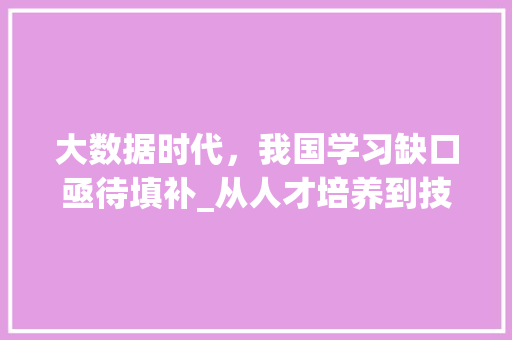 大数据时代，我国学习缺口亟待填补_从人才培养到技术创新