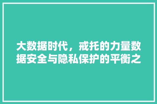 大数据时代，戒托的力量数据安全与隐私保护的平衡之路