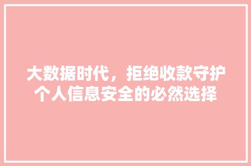 大数据时代，拒绝收款守护个人信息安全的必然选择