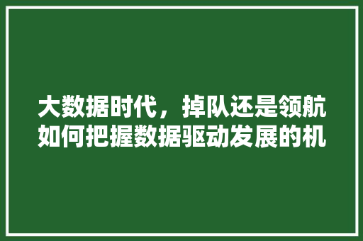 大数据时代，掉队还是领航如何把握数据驱动发展的机遇