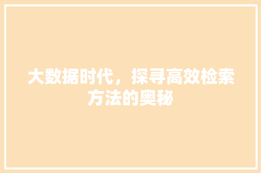 大数据时代，探寻高效检索方法的奥秘
