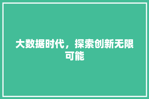大数据时代，探索创新无限可能