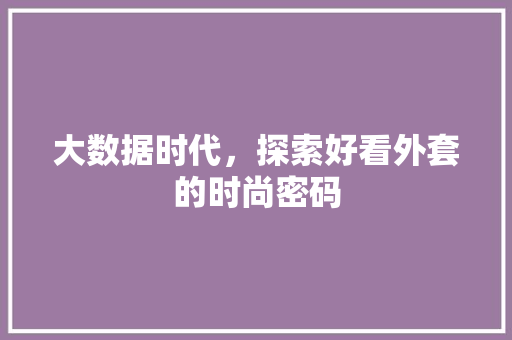大数据时代，探索好看外套的时尚密码