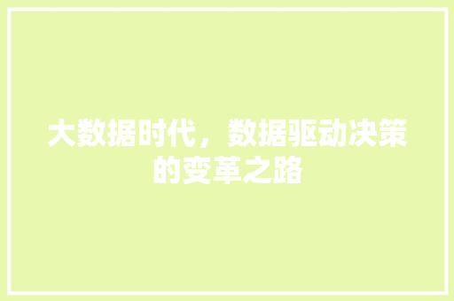 大数据时代，数据驱动决策的变革之路 服务器/数据库