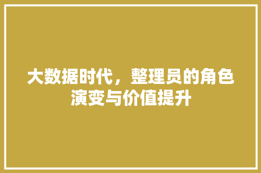 大数据时代，整理员的角色演变与价值提升